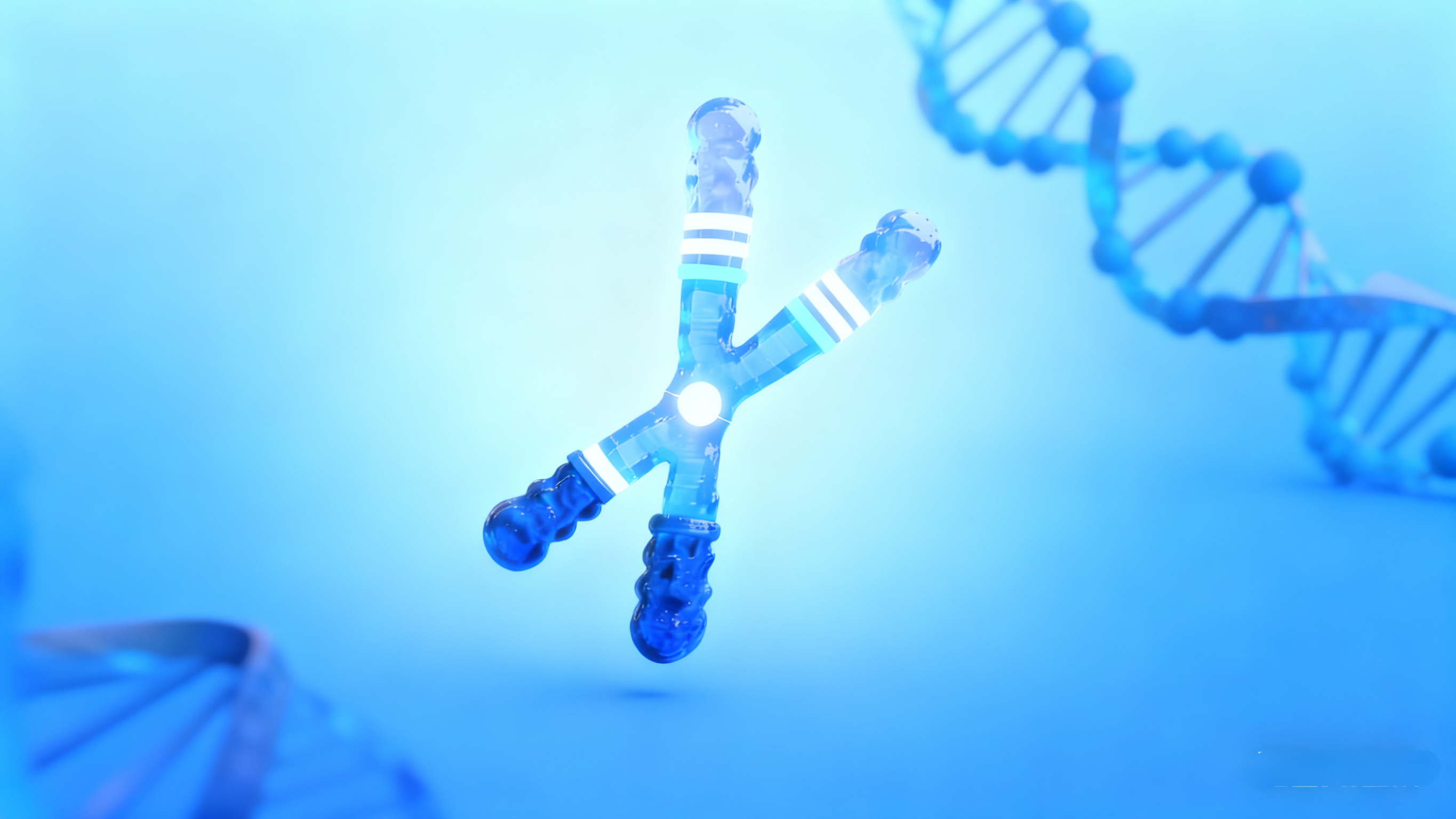 免疫细胞储存与制备